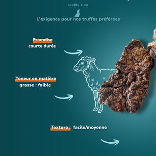 Poumon d'agneau - friandises pour chien
