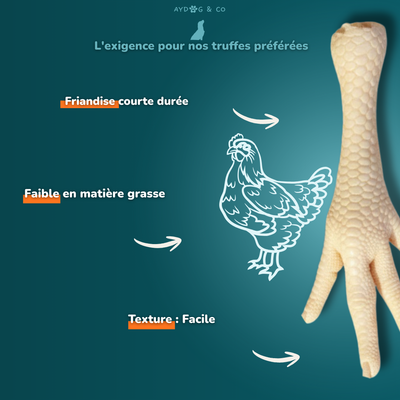 Patte de poulet soufflé - Friandises pour chien