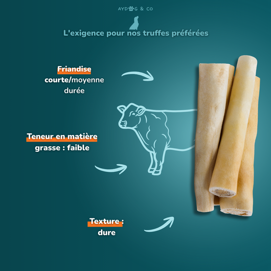 Queue de boeuf - Friandises pour chien