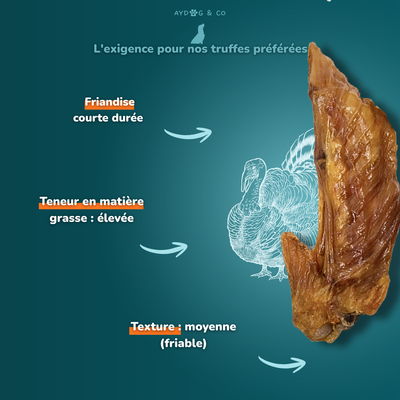 Turkey Wing - Dog Treats