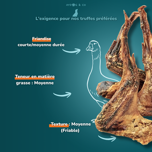 Aile d'oie- Friandises pour chien