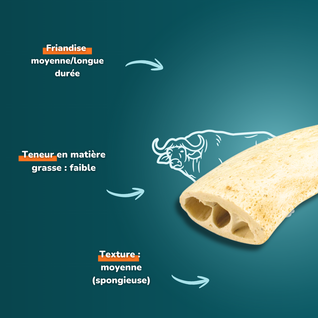 Noyau de corne de buffle