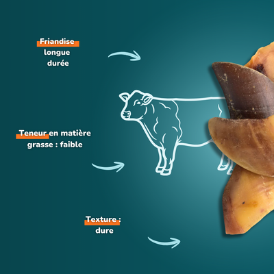 Sabot de bœuf - Friandises pour chien