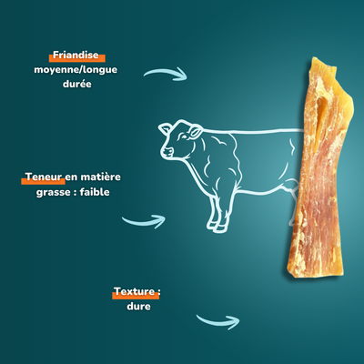 Tendon de bœuf - Friandises pour chien