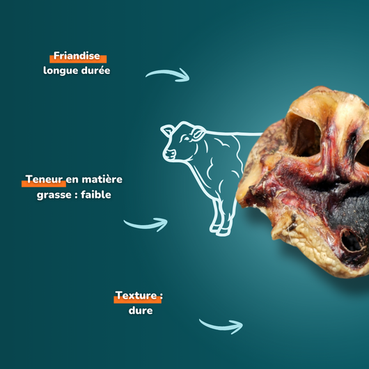 Nez de bœuf - Friandises pour chien