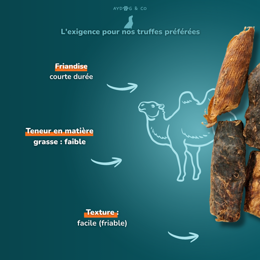 Poumon de chameau - Friandises pour chien