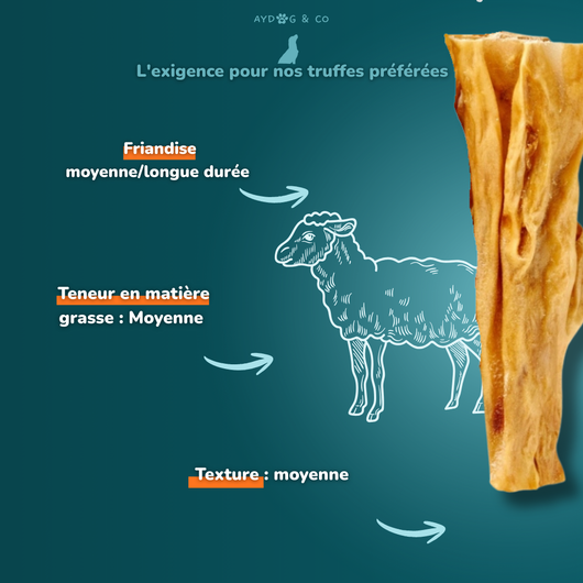 Lamb's scalp - Dog treats
