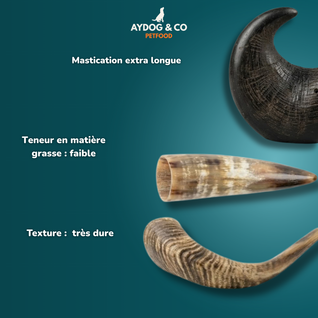 Trio corne  (Buffle + Mouton + Vache)  [Précommande]