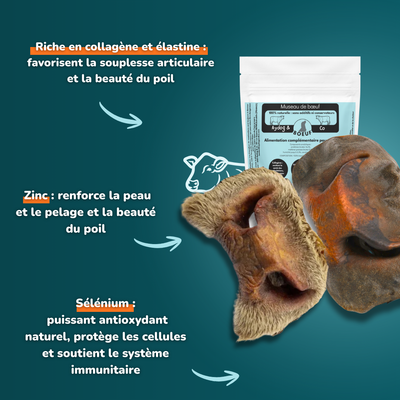 Beef snout - Dog treats