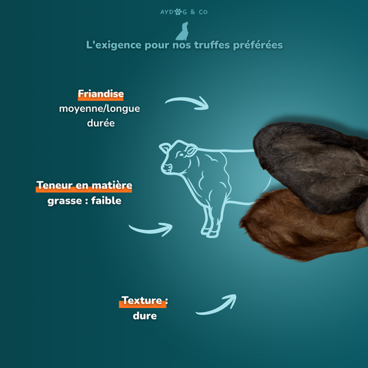 Oreille de boeuf avec poils - Friandises pour chien
