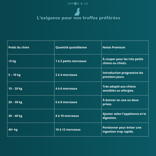 Chicken stomach - Dog treats