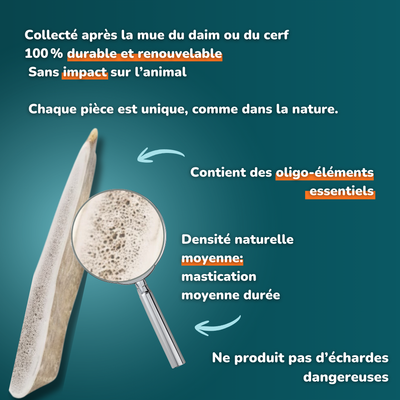 Bois de daim - Friandises pour chiens