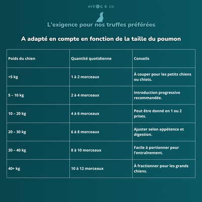 Poumon de chameau - Friandises pour chien