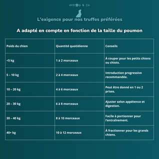 Poumon de chameau - Friandises pour chien