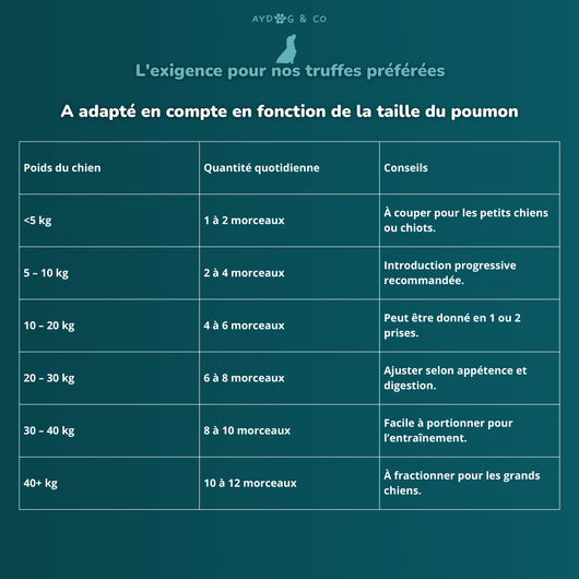 Poumon de chameau - Friandises pour chien