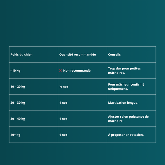 Nez de bœuf - Friandises pour chien