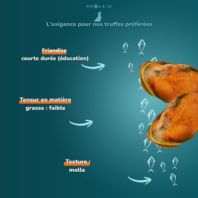 Moules déshydratées - friandises pour chien