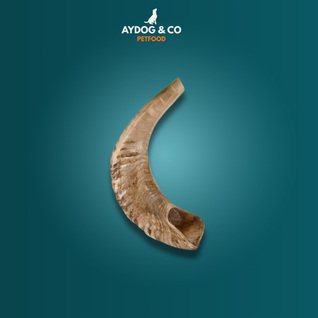 Corne [Précommande]