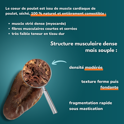 Coeur de poulet - Friandises pour chien