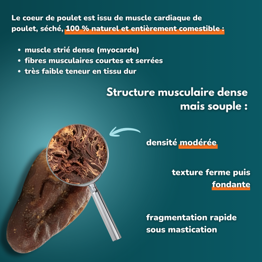 Coeur de poulet - Friandises pour chien