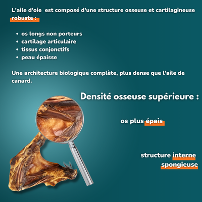 Aile d'oie- Friandises pour chien