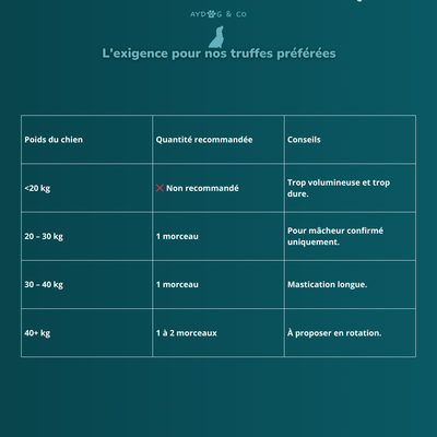 Peau de cerf  L - friandises pour chien