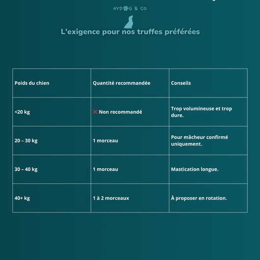 Peau de cerf  L - friandises pour chien