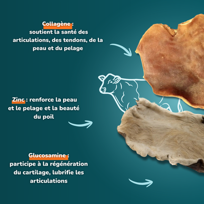 Plaque de peau de bœuf "S" (Avec/sans poils) - Friandises pour chien