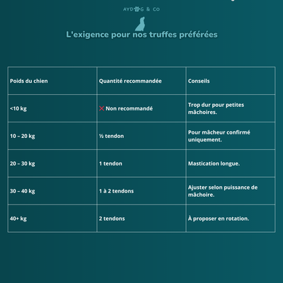 Tendon de cerf - friandises pour chien