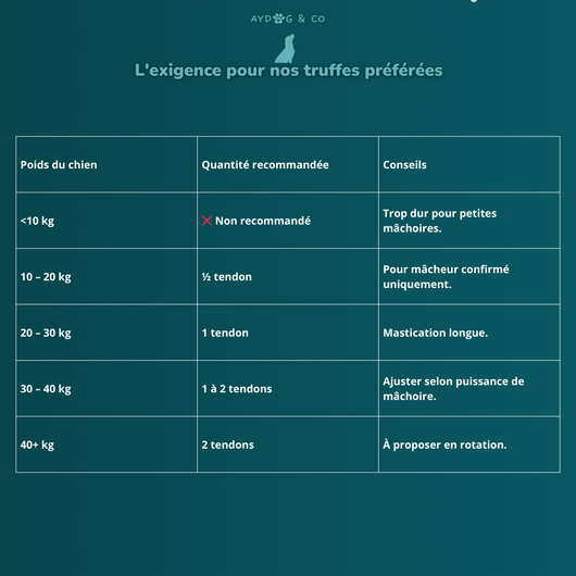 Tendon de cerf - friandises pour chien
