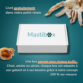 Box de mastication surprise - Friandises pour chien