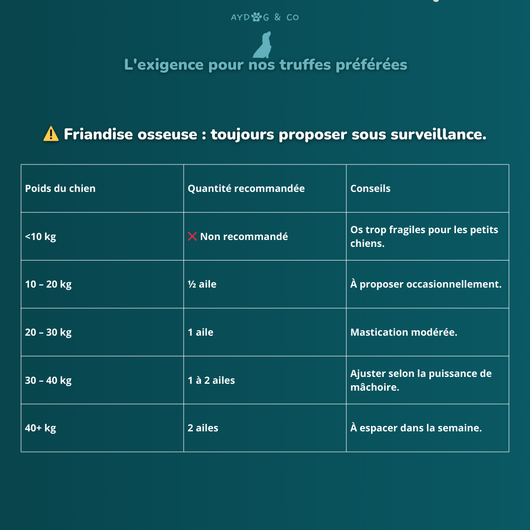 Turkey Wing - Dog Treats