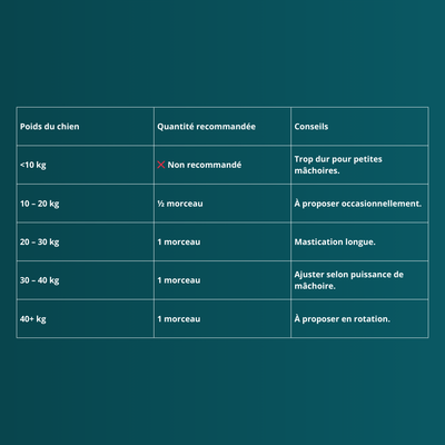 Peau de bœuf avec poils (longue)  - Friandises pour chien