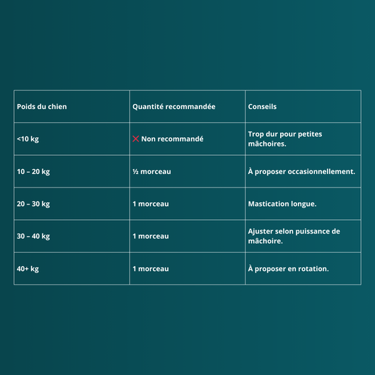 Peau de bœuf avec poils (longue)  - Friandises pour chien