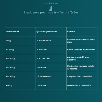 Peau de saumon avec chair - Friandises pour chien
