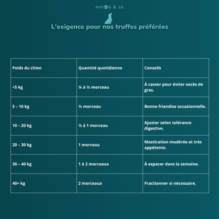 Peau de saumon avec chair - Friandises pour chien