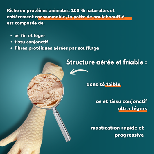 Patte de poulet soufflé - Friandises pour chien