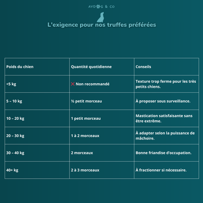 Trachée de chameau - Friandises pour chien