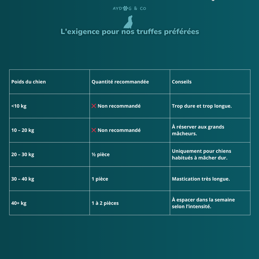 Camel hide (L) - Dog treats