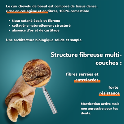 Cuir chevelu de bœuf long - Friandises pour chien