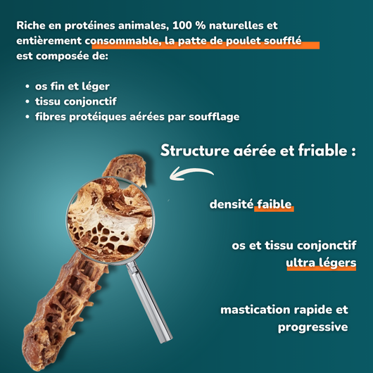 Cou de poulet - Friandises pour chien