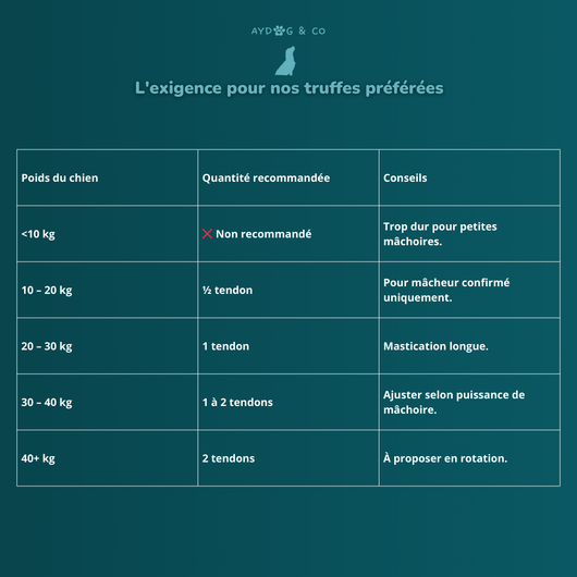 Tendon de bœuf - Friandises pour chien