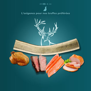 Bois de cerf fumée - Friandises pour chiens