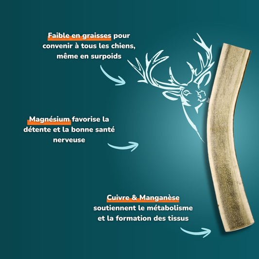Bois de cerf fumée - Friandises pour chiens