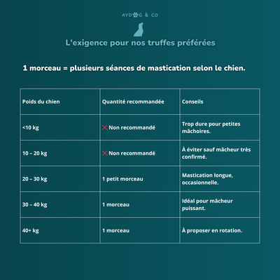 Rolled beef cheek 30cm - Dog treats