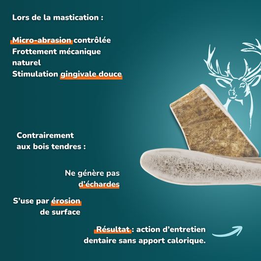 Bois de daim - Friandises pour chiens