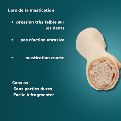 Patte de poulet soufflé - Friandises pour chien