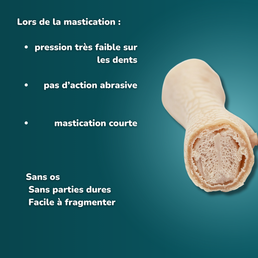 Patte de poulet soufflé - Friandises pour chien