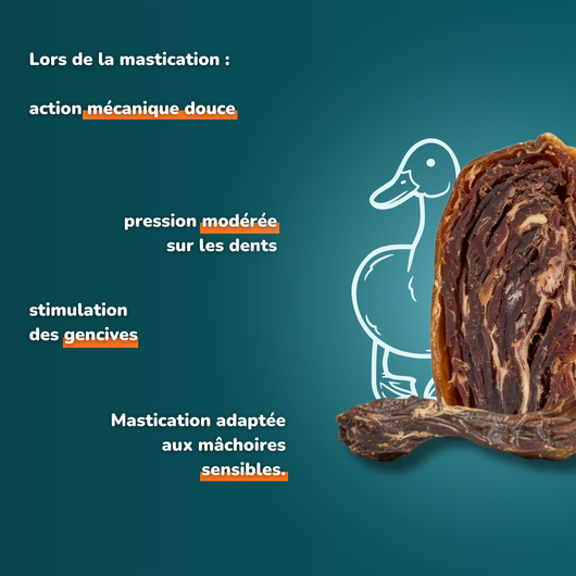 Cou de canard - Friandises pour chien