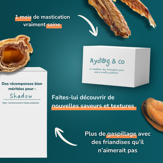 Box mensuelle personnalisée de friandises